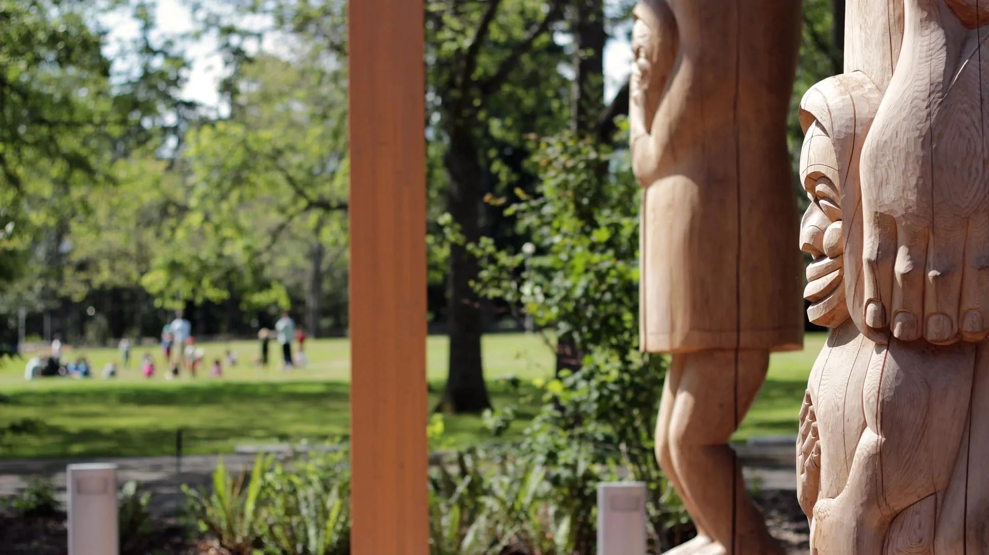 I-CEDAR Vision
